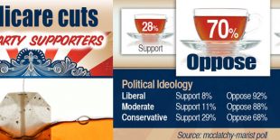 Even the Tea Party loves Medicare photo