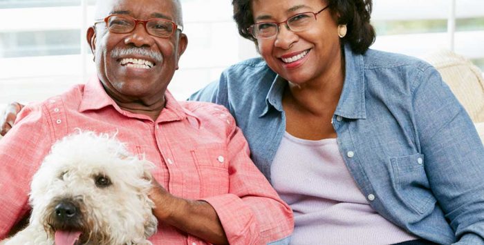 What are Medigap plans and how do they work?