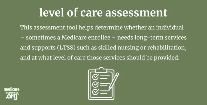 level of care assessment