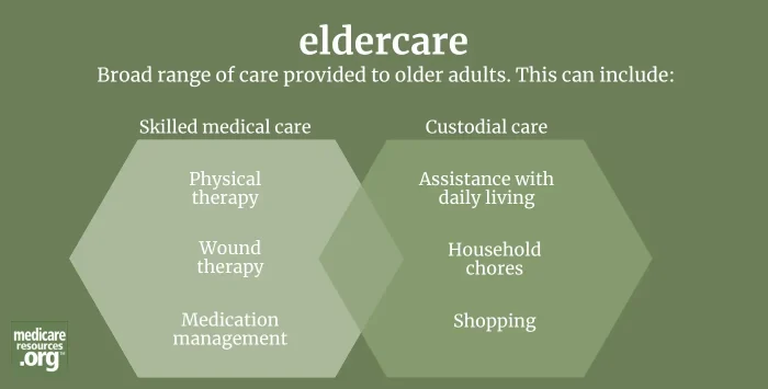 eldercare infographic