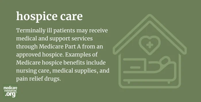 hospice care infographic