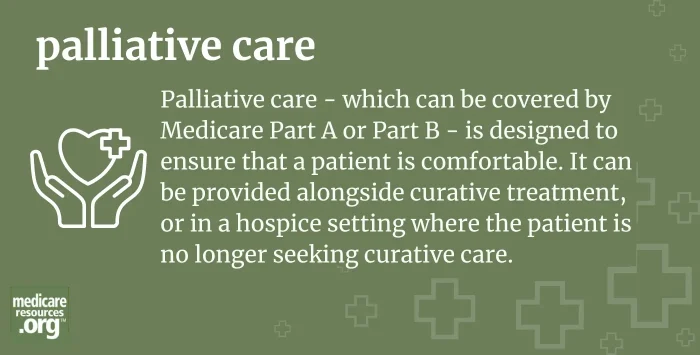 palliative care infographic