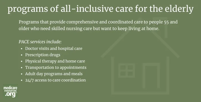 programs of all-inclusive care for the elderly infographic